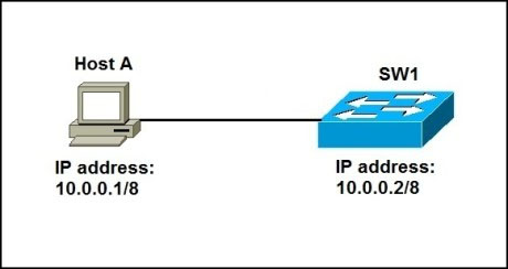 تخصیص IP سوئیچ