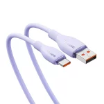 Baseus Cable USB vers TYPE-C 100W 1.2M Violet