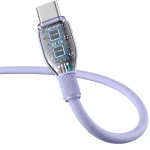 Baseus Cable USB vers TYPE-C 100W 1.2M Violet